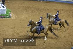 18YN_10222 thumbnail