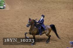 18YN_10223 thumbnail