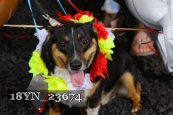 18YN_23674 thumbnail