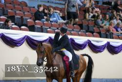 18YN_35242 thumbnail