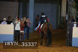 18YN_35337 thumbnail