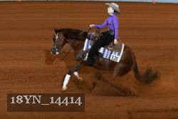 18YN_14414 thumbnail