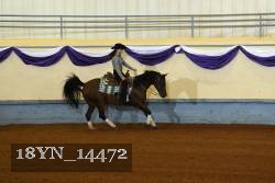 18YN_14472 thumbnail