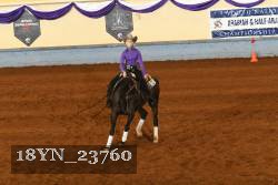 18YN_23760 thumbnail