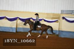 18YN_10662 thumbnail