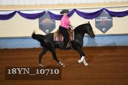 18YN_10710 thumbnail