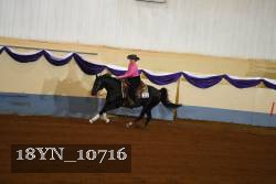 18YN_10716 thumbnail