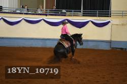18YN_10719 thumbnail