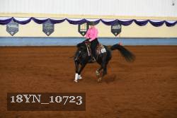 18YN_10723 thumbnail
