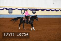 18YN_10725 thumbnail