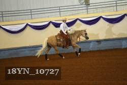 18YN_10727 thumbnail