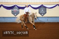 18YN_10728 thumbnail