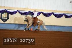 18YN_10730 thumbnail