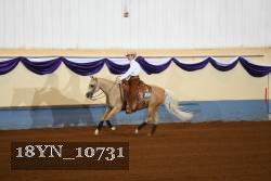 18YN_10731 thumbnail