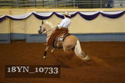 18YN_10733 thumbnail