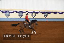 18YN_10781 thumbnail