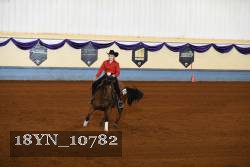 18YN_10782 thumbnail