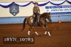 18YN_10783 thumbnail