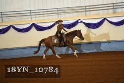 18YN_10784 thumbnail