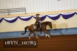 18YN_10785 thumbnail