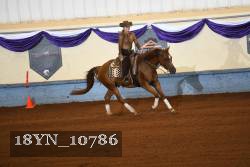 18YN_10786 thumbnail