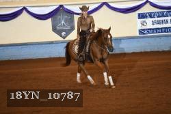 18YN_10787 thumbnail