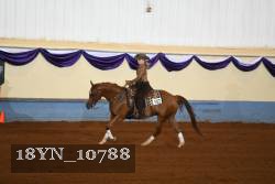 18YN_10788 thumbnail