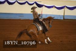 18YN_10796 thumbnail