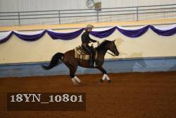 18YN_10801 thumbnail