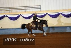 18YN_10802 thumbnail