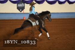 18YN_10833 thumbnail