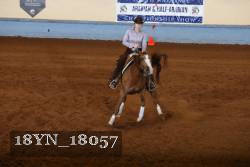 18YN_18057 thumbnail