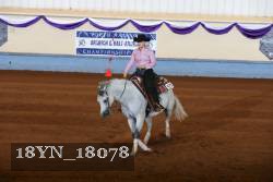 18YN_18078 thumbnail