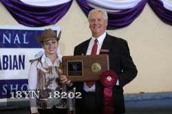 18YN_18202 thumbnail