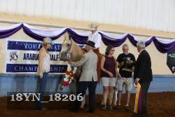 18YN_18206 thumbnail