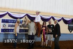 18YN_18207 thumbnail