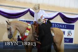 18YN_18213 thumbnail