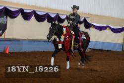 18YN_18226 thumbnail