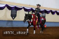 18YN_18227 thumbnail