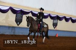 18YN_18232 thumbnail