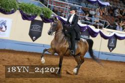 18YN_24207 thumbnail