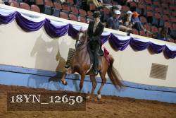 18YN_12650 thumbnail