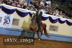 18YN_12651 thumbnail