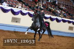 18YN_12653 thumbnail