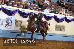 18YN_12658 thumbnail