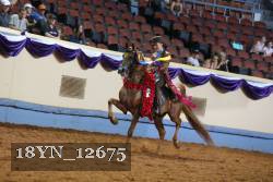 18YN_12675 thumbnail