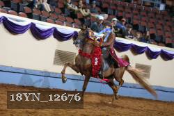 18YN_12676 thumbnail