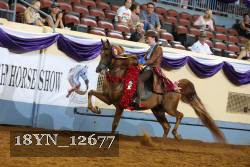 18YN_12677 thumbnail