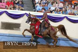 18YN_12679 thumbnail