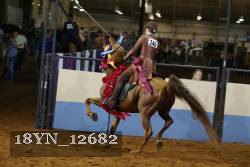 18YN_12682 thumbnail